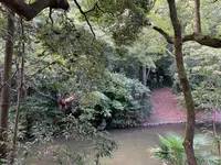 栗林公園の写真・動画_image_392822