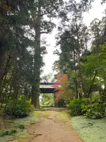 飯高寺（飯高檀林跡）の写真・動画_image_393482