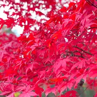 旭日丘湖畔緑地公園の写真・動画_image_393491