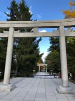 住吉神社の写真・動画_image_393766