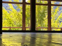 豊国神社（千畳閣）の写真・動画_image_394045