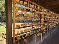 厳島神社の写真・動画_image_394095