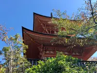 多宝塔の写真・動画_image_394136