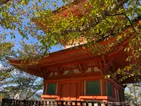 多宝塔の写真・動画_image_394138