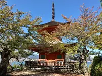 多宝塔の写真・動画_image_394139