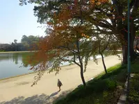 天王川公園の写真・動画_image_394161