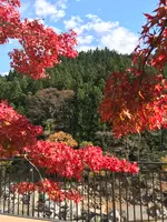 道の駅 万葉の里の写真・動画_image_394411