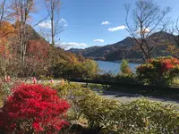 道の駅 八ッ場ふるさと館の写真・動画_image_394438