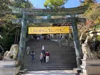 金刀比羅宮（こんぴらさん）の写真・動画_image_395289