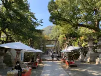 金刀比羅宮（こんぴらさん）の写真・動画_image_395294