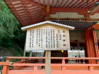 金刀比羅宮（こんぴらさん）の写真・動画_image_395305