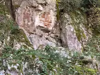 金刀比羅宮（こんぴらさん）の写真・動画_image_395306