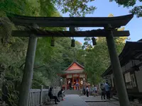 金刀比羅宮（こんぴらさん）の写真・動画_image_395310