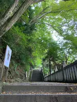 金刀比羅宮（こんぴらさん）の写真・動画_image_395315