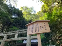 金刀比羅宮（こんぴらさん）の写真・動画_image_395318