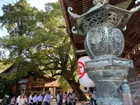 金刀比羅宮（こんぴらさん）の写真・動画_image_395325