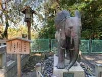 金刀比羅宮（こんぴらさん）の写真・動画_image_395327