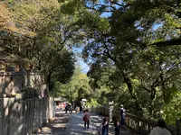 金刀比羅宮（こんぴらさん）の写真・動画_image_395328
