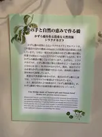 祖谷のかずら橋の写真・動画_image_395353