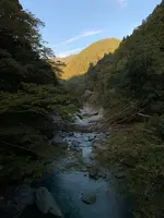 祖谷のかずら橋の写真・動画_image_395355