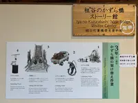 祖谷のかずら橋の写真・動画_image_395356