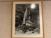 祖谷渓温泉ホテル 秘境の湯の写真・動画_image_395377