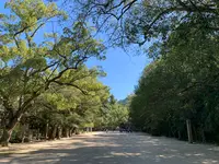 大山祇神社の写真・動画_image_395402