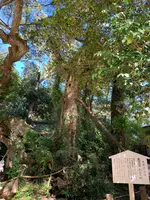 大山祇神社の写真・動画_image_395405