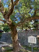 大山祇神社の写真・動画_image_395407