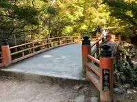 紅葉谷の写真・動画_image_395518