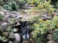 紅葉谷の写真・動画_image_395519