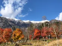 新穂高ロープウェイの写真・動画_image_395544