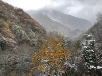 北アルプス大橋の写真・動画_image_395554