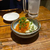 アオギリの写真・動画_image_395865