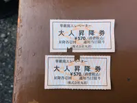 日光山中禅寺立木観音堂の写真・動画_image_395877