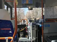 日光山中禅寺立木観音堂の写真・動画_image_395890