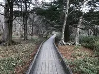 湯ノ湖の写真・動画_image_395924