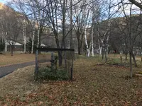 中禅寺湖の写真・動画_image_395977