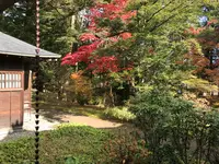 日光田母沢御用邸記念公園の写真・動画_image_396003