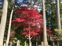 日光田母沢御用邸記念公園の写真・動画_image_396025