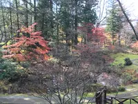 日光田母沢御用邸記念公園の写真・動画_image_396028