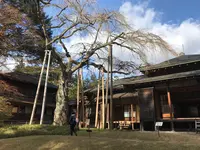 日光田母沢御用邸記念公園の写真・動画_image_396033
