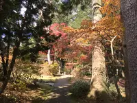 日光田母沢御用邸記念公園の写真・動画_image_396035
