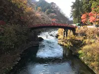 神橋の写真・動画_image_396055