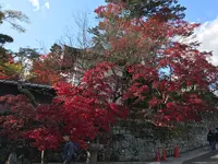 日光東照宮の写真・動画_image_396063