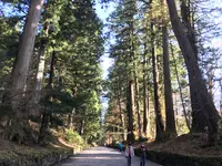 日光東照宮の写真・動画_image_396121