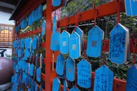 仙人茶屋の写真・動画_image_396298