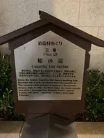 道後温泉 椿の湯の写真・動画_image_396559