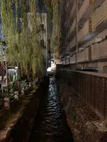 道後温泉駅の写真・動画_image_396579