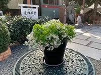 子規堂の写真・動画_image_396670